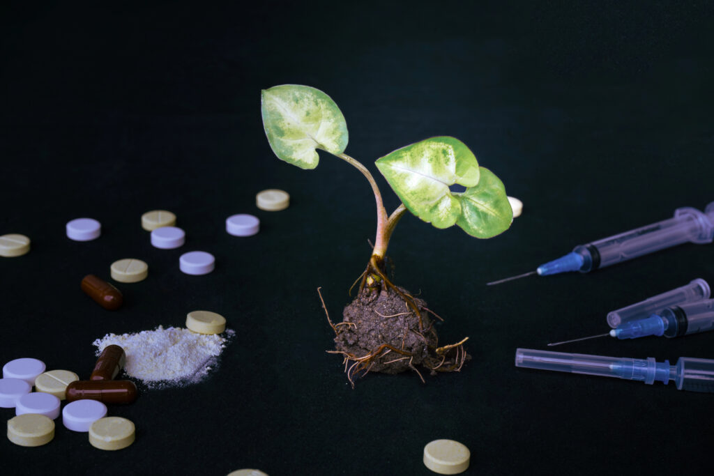 Elgin Outpatient Recovery Programs